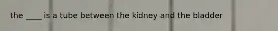 the ____ is a tube between the kidney and the bladder