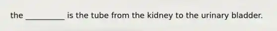the __________ is the tube from the kidney to the urinary bladder.