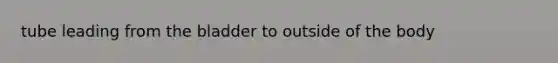 tube leading from the bladder to outside of the body