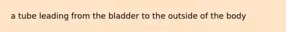 a tube leading from the bladder to the outside of the body