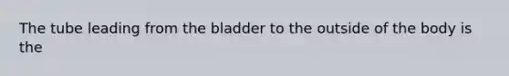 The tube leading from the bladder to the outside of the body is the