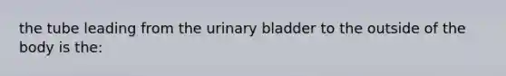 the tube leading from the urinary bladder to the outside of the body is the: