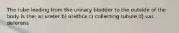 The tube leading from the urinary bladder to the outside of the body is the: a) ureter b) urethra c) collecting tubule d) vas deferens