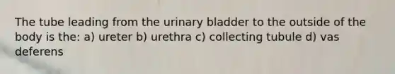 The tube leading from the <a href='https://www.questionai.com/knowledge/kb9SdfFdD9-urinary-bladder' class='anchor-knowledge'>urinary bladder</a> to the outside of the body is the: a) ureter b) urethra c) collecting tubule d) vas deferens