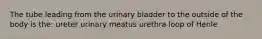 The tube leading from the urinary bladder to the outside of the body is the: ureter urinary meatus urethra loop of Henle