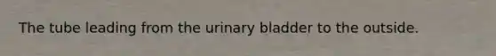 The tube leading from the <a href='https://www.questionai.com/knowledge/kb9SdfFdD9-urinary-bladder' class='anchor-knowledge'>urinary bladder</a> to the outside.