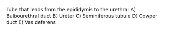 Tube that leads from the epididymis to the urethra: A) Bulbourethral duct B) Ureter C) Seminiferous tubule D) Cowper duct E) Vas deferens