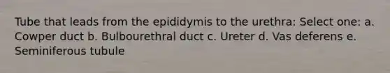 Tube that leads from the epididymis to the urethra: Select one: a. Cowper duct b. Bulbourethral duct c. Ureter d. Vas deferens e. Seminiferous tubule