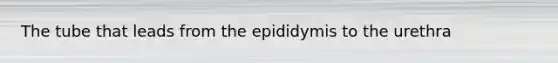 The tube that leads from the epididymis to the urethra