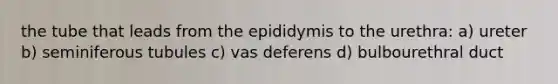 the tube that leads from the epididymis to the urethra: a) ureter b) seminiferous tubules c) vas deferens d) bulbourethral duct