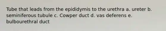 Tube that leads from the epididymis to the urethra a. ureter b. seminiferous tubule c. Cowper duct d. vas deferens e. bulbourethral duct