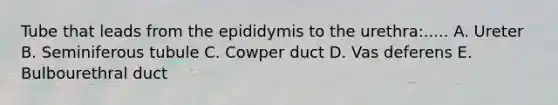 Tube that leads from the epididymis to the urethra:..... A. Ureter B. Seminiferous tubule C. Cowper duct D. Vas deferens E. Bulbourethral duct
