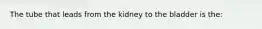 The tube that leads from the kidney to the bladder is the: