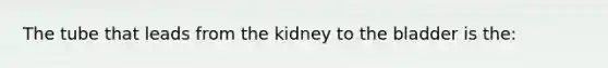 The tube that leads from the kidney to the bladder is the: