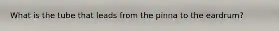 What is the tube that leads from the pinna to the eardrum?