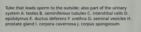 Tube that leads sperm to the outside; also part of the urinary system A. testes B. seminiferous tubules C. interstitial cells D. epididymus E. ductus deferens F. urethra G. seminal vesicles H. prostate gland I. corpora cavernosa J. corpus spongiosum