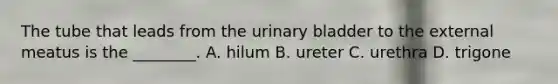 The tube that leads from the <a href='https://www.questionai.com/knowledge/kb9SdfFdD9-urinary-bladder' class='anchor-knowledge'>urinary bladder</a> to the external meatus is the​ ________. A. hilum B. ureter C. urethra D. trigone