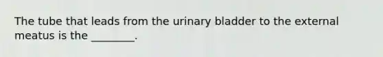 The tube that leads from the urinary bladder to the external meatus is the​ ________.