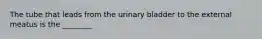 The tube that leads from the urinary bladder to the external meatus is the​ ________
