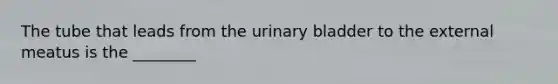 The tube that leads from the urinary bladder to the external meatus is the​ ________