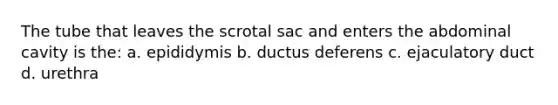 The tube that leaves the scrotal sac and enters the abdominal cavity is the: a. epididymis b. ductus deferens c. ejaculatory duct d. urethra