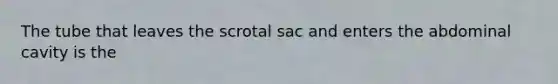 The tube that leaves the scrotal sac and enters the abdominal cavity is the