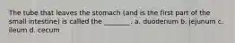 The tube that leaves the stomach (and is the first part of the small intestine) is called the ________. a. duodenum b. jejunum c. ileum d. cecum