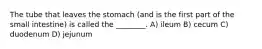 The tube that leaves the stomach (and is the first part of the small intestine) is called the ________. A) ileum B) cecum C) duodenum D) jejunum