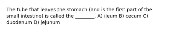 The tube that leaves the stomach (and is the first part of the small intestine) is called the ________. A) ileum B) cecum C) duodenum D) jejunum