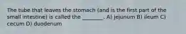 The tube that leaves the stomach (and is the first part of the small intestine) is called the ________. A) jejunum B) ileum C) cecum D) duodenum
