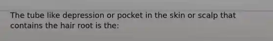 The tube like depression or pocket in the skin or scalp that contains the hair root is the: