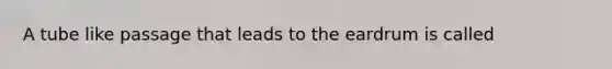 A tube like passage that leads to the eardrum is called