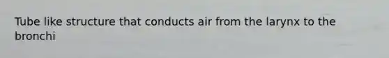Tube like structure that conducts air from the larynx to the bronchi
