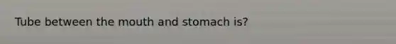 Tube between the mouth and stomach is?