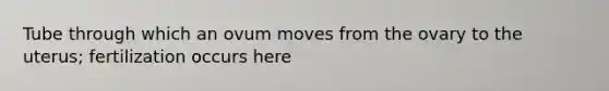 Tube through which an ovum moves from the ovary to the uterus; fertilization occurs here