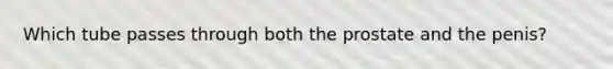 Which tube passes through both the prostate and the penis?