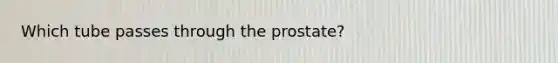 Which tube passes through the prostate?