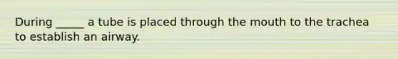 During _____ a tube is placed through the mouth to the trachea to establish an airway.