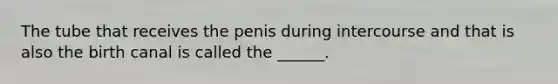 The tube that receives the penis during intercourse and that is also the birth canal is called the ______.