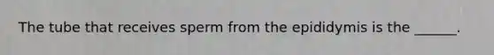 The tube that receives sperm from the epididymis is the ______.