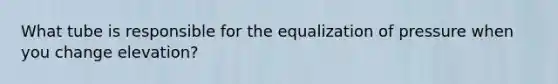 What tube is responsible for the equalization of pressure when you change elevation?