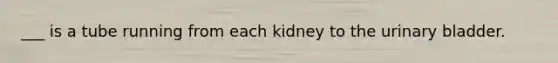 ___ is a tube running from each kidney to the urinary bladder.