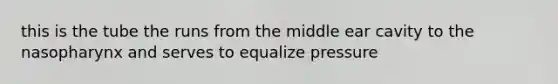 this is the tube the runs from the middle ear cavity to the nasopharynx and serves to equalize pressure
