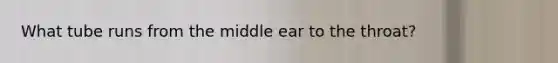 What tube runs from the middle ear to the throat?