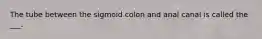 The tube between the sigmoid colon and anal canal is called the ___.