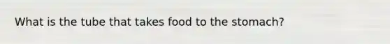 What is the tube that takes food to <a href='https://www.questionai.com/knowledge/kLccSGjkt8-the-stomach' class='anchor-knowledge'>the stomach</a>?
