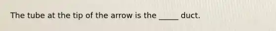 The tube at the tip of the arrow is the _____ duct.