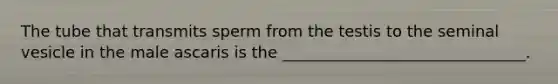 The tube that transmits sperm from the testis to the seminal vesicle in the male ascaris is the _______________________________.