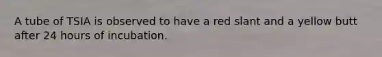 A tube of TSIA is observed to have a red slant and a yellow butt after 24 hours of incubation.
