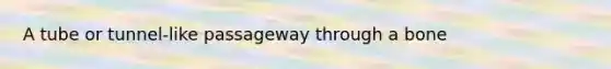 A tube or tunnel-like passageway through a bone